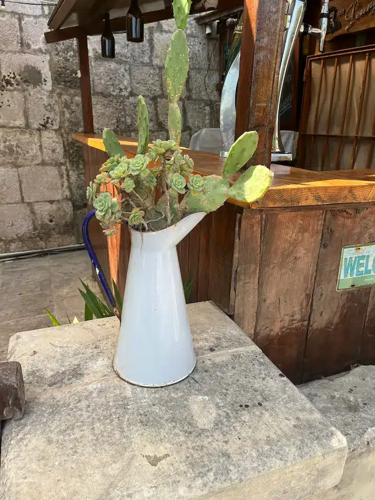 Creative flower pot